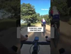 Young bull joins Iowa BIKE RACE #shorts #us #news #foxnews #viral #animals