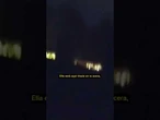 Un perro guía a la policía hasta su dueña, que se encontraba desaparecida