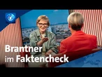 ARD Sommerinterview: Grünen-Chefin Brantner im Faktencheck
