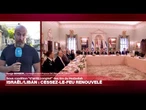 "Un cessez-le-feu qui fait office de test de l'autorité de l'État sur le Sud-Liban" • FRANCE 24
