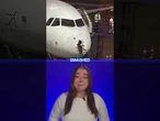 Terror as flight hit by hail storm and bird strike