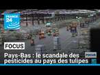 Pays-Bas : le scandale des pesticides au pays des tulipes • FRANCE 24