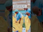 Red Cross has been training volunteers to help with 'safe and dignified' burials for Ebola victims