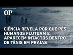 Ciência revela por que pés humanos flutuam e aparecem intactos dentro de tênis em praias