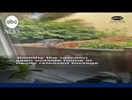 Jimothy the raccoon seen outside home in newly released footage