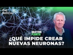 OBJETIVO PLANETA: LAS NUEVAS NEURONAS. La NEUROGÉNESIS y sus ENEMIGOS | RTVE