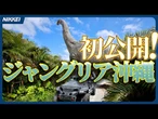 【7月25日オープン】ジャングリア沖縄　パーク全容が初公開！