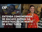 Entenda como mordida de macaco na Tailândia entrou na investigação da morte de atriz turca