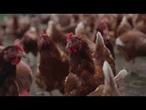 AGRO INFO | 01.05.2025 | TV Republika