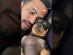 Quem nunca? Cachorro finge dormir ao ser confrontado por xixi fora do lugar