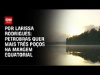 Petrobras pede mais poços na Margem Equatorial e menos compensação ambiental | CNN 360º