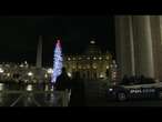 Natale 2024, l'albero della Città del Vaticano in Piazza San Pietro