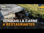 El SEPRONA desmantela un MATADERO CLANDESTINO que DISTRIBUÍA a RESTAURANTES | RTVE