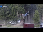 Man hospitalized after bison charge sends him flying at Yellowstone