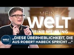 MEINE MEINUNG: "Strukturelles Problem der Grünen!" – Abrechnung mit Robert Habeck