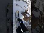 Snowboarder’s terrifying close-call on a cliff face