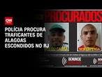 Polícia procura traficantes de Alagoas escondidos no RJ | LIVE CNN