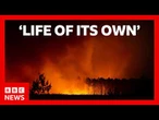 Spanish PM says wildfires are a 'painful expression' of climate emergency | BBC News
