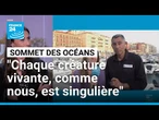 François Sarano : "Chaque créature vivante, comme nous les humains, est singulière" • FRANCE 24