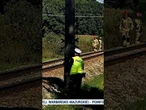 Tragedia na torach. Rowerzysta wjechał pod pociąg