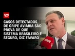Gripe aviária: Casos detectados são prova de que sistema brasileiro é seguro, diz Fávaro | LIVE CNN