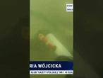 Niesamowite odkrycie w oceanie! Prawie milion dolarów w wodzie!