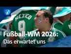 Start der Fußball-WM 2026: Sportjournalist Arnd Zeigler über deutsche Chancen