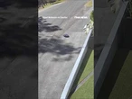 FINAL SWEEP: A robot vacuum met an unfortunate end... #shorts #robot #technology #viral #news #usa
