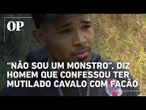 Mutilação de cavalo em SP: investigado diz que animal já estava morto ao cortar patas