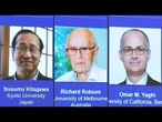 Pesquisa sobre estruturas moleculares com ‘enorme potencial’ recebe o Nobel de Química | AFP