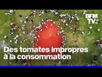 Tomatina colombienne: 36 tonnes de tomates utilisées en projectiles dans un festival
