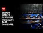 Senado: Líderes desenham indicações para comissões | CNN NOVO DIA