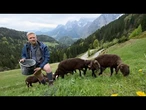« Le pays des agriculteurs heureux » : pourquoi l'herbe semble-t-elle plus verte en Autriche ?