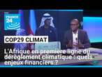 L'Afrique en première ligne du dérèglement climatique : quels enjeux financiers ? • FRANCE 24