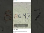 Federal authorities investigate ‘8647’ marks on National Mall