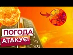 ПОГОДА ШАЛЕНІЄ! РЕКОРДНА СПЕКА знищує ЄВРОПУ! Україна В НЕБЕЗПЕЦІ? Ось, ЩО ЧЕКАЄ НАСТУПНОГО ТИЖНЯ