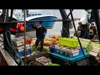 Face à de multiples défis, les professionnels de la pêche se réunissent à Cherbourg