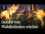 Hitzewelle: Wälder in Portugal zum Sperrgebiet erklärt