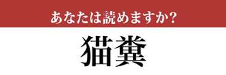 【難読漢字】「猫糞」って読めますか？ 猫のフンではありません！