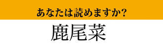 【難読漢字】「鹿尾菜」って読めますか？　必ず食べたことのある「あの海藻」です！