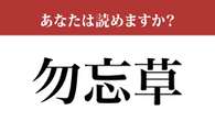 【難読漢字】「勿忘草」って読めますか？ 意外と読めない…