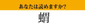 【難読漢字】「蝟」って読めますか？可愛らしい見た目で人気のあの動物です！