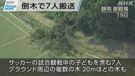 【動画】Pickup NEWS（7月20日）
