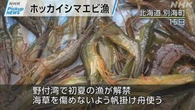 【動画】Pickup NEWS（6月16日）