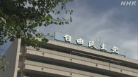 自民 日本赤十字社に6億5000万円寄付 政治資金問題めぐり