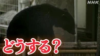 宮城 長野でクマ被害相次ぐ 登山客は