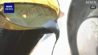 日本ではホルムズ海峡を通らない代替ルートでの原油調達が進む