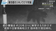 【動画】Pickup NEWS(7月8日）