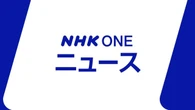 臨時国会 今月20日週の早い時期に召集調整 自民梶山国対委員長