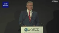 OECD閣僚理事会 閣僚声明 2年連続採択見送り